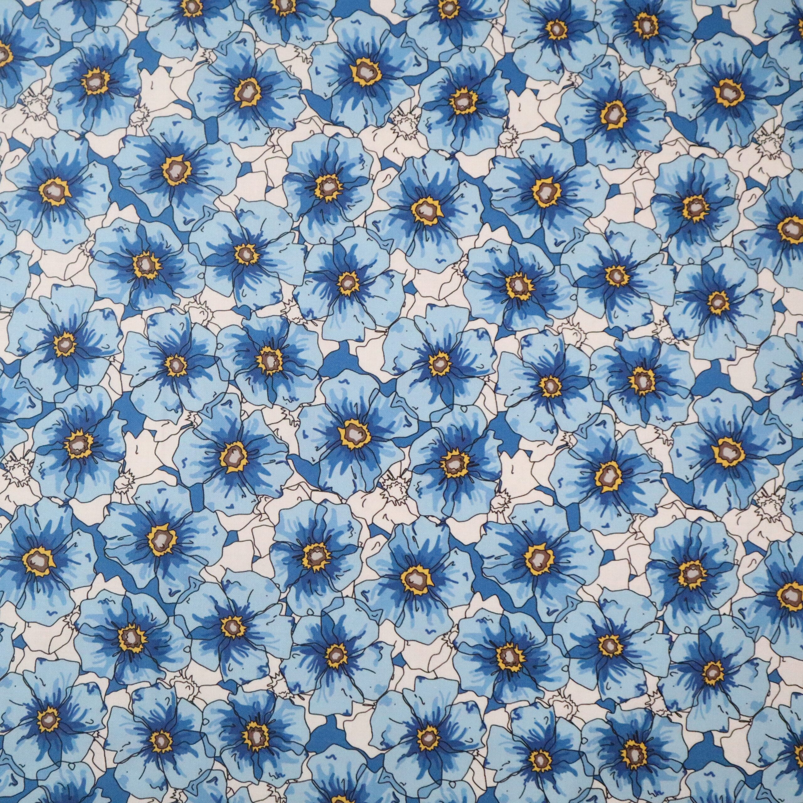 Field of Memories - Blue View