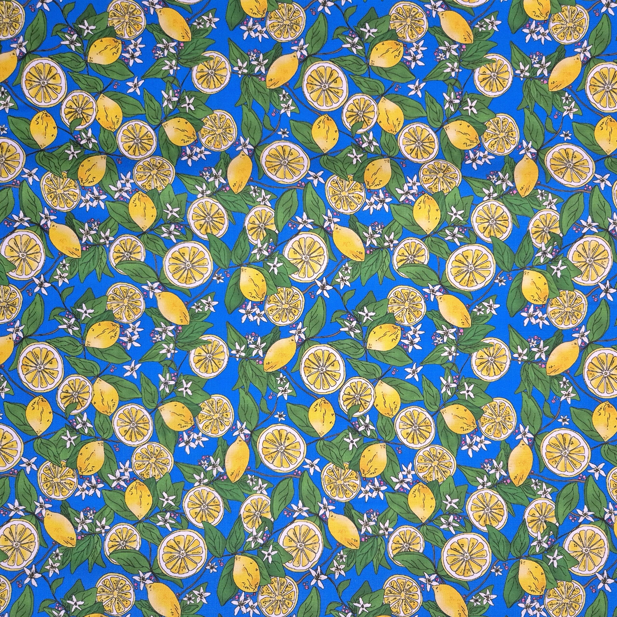 Zest & Zing - Lemon Canopy