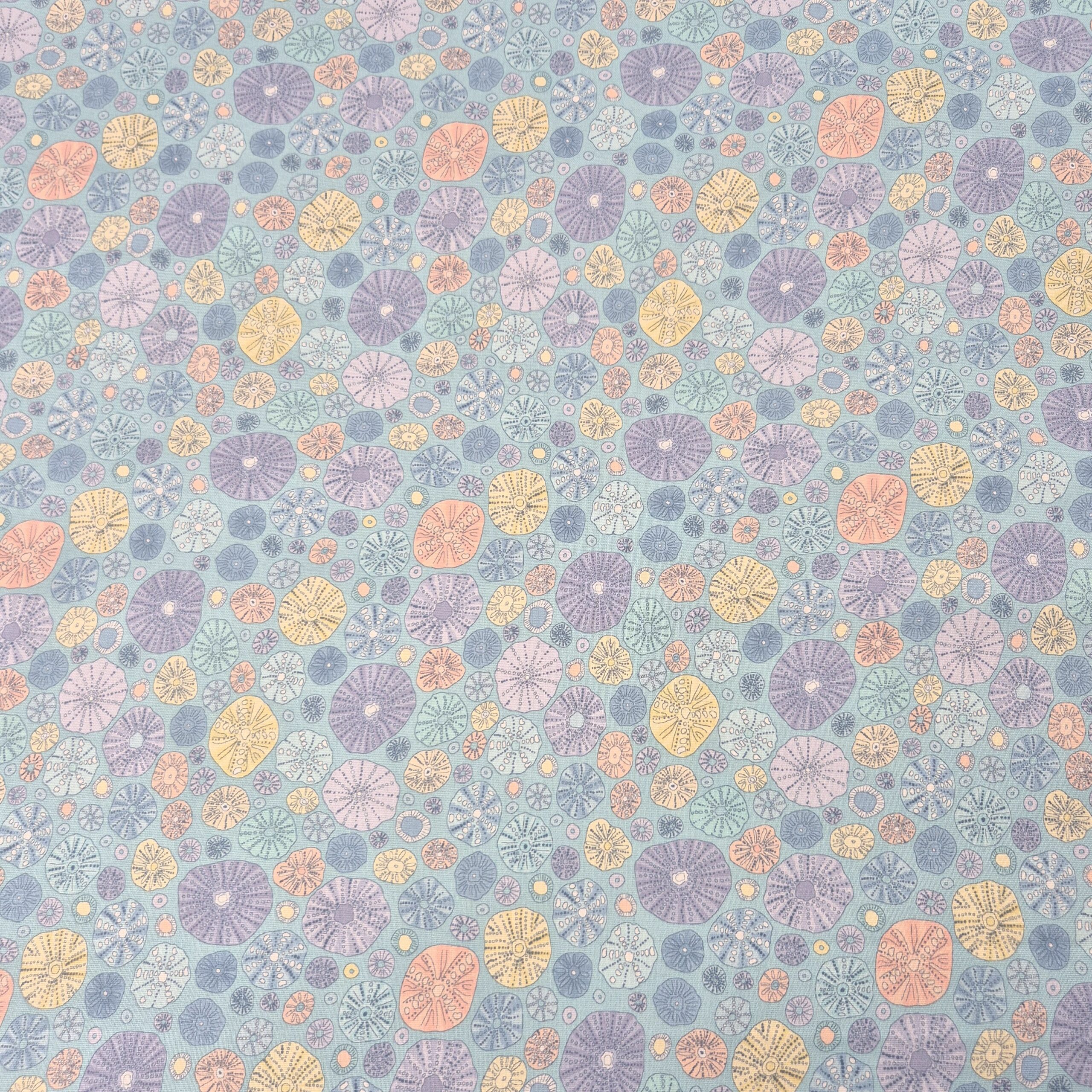 Hidden Tides - Urchin Cluster